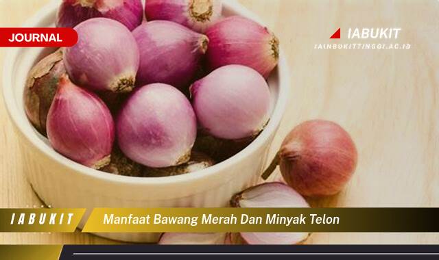 Inilah 10 Manfaat Bawang Merah dan Minyak Telon untuk Bayi, Meredakan Kolik Hingga Mengatasi Hidung Tersumbat