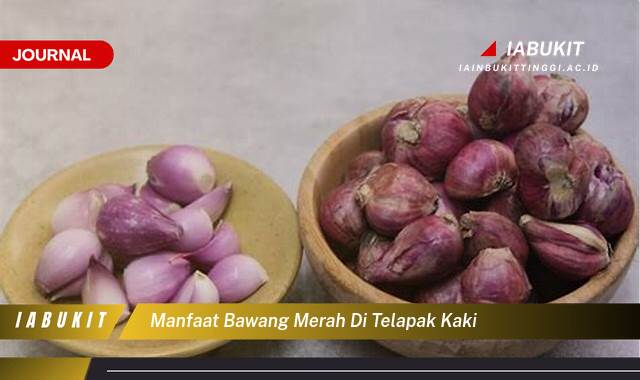 Inilah 9 Manfaat Bawang Merah di Telapak Kaki untuk Kesehatan Anda