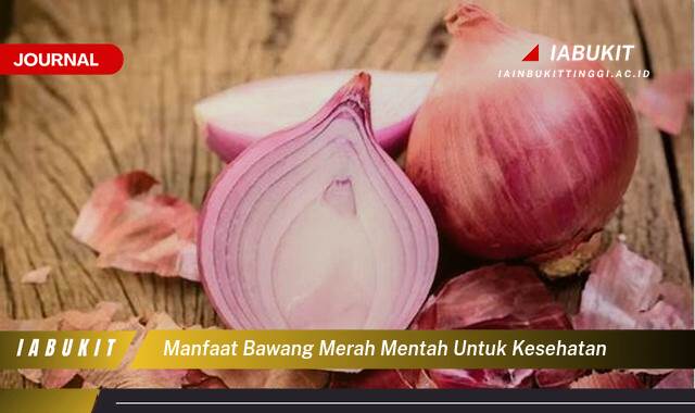 Inilah 10 Manfaat Bawang Merah Mentah untuk Kesehatan Tubuh Anda