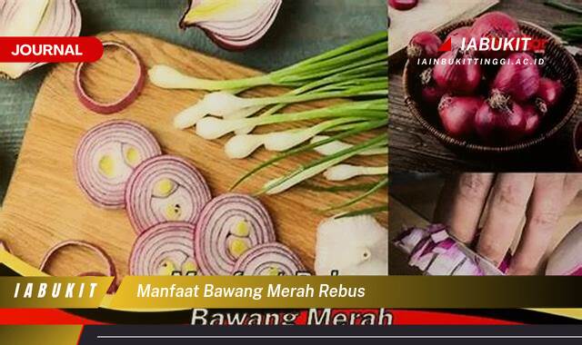 Inilah 10 Manfaat Bawang Merah Rebus untuk Kesehatan Tubuh Anda