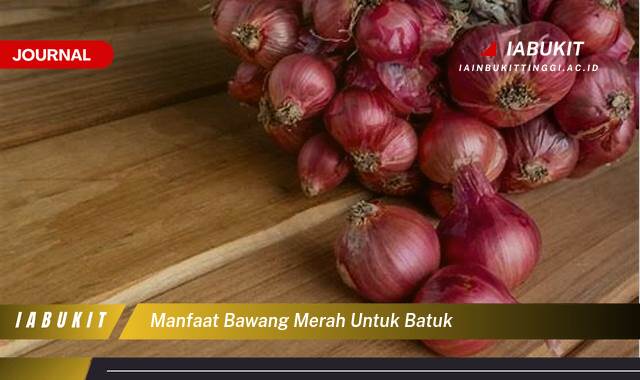 Inilah 10 Manfaat Bawang Merah untuk Batuk, Efektifkah? Cara Penggunaan dan Resep Alami