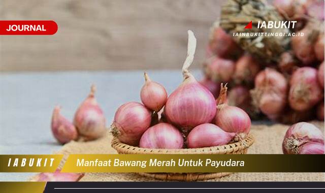Inilah 9 Manfaat Bawang Merah untuk Payudara yang Perlu Anda Tahu