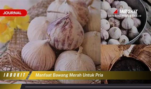 Inilah 10 Manfaat Bawang Merah untuk Pria, Tingkatkan Vitalitas dan Kesehatan Secara Alami