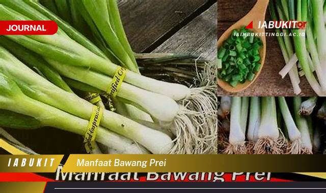 Inilah 10 Manfaat Bawang Prei untuk Kesehatan, Kecantikan, dan Masakan