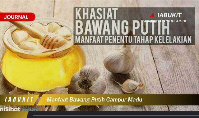 Inilah 8 Manfaat Bawang Putih Campur Madu untuk Kesehatan Anda Inilah 8 Manfaat Bawang Putih Campur Madu untuk Kesehatan Anda