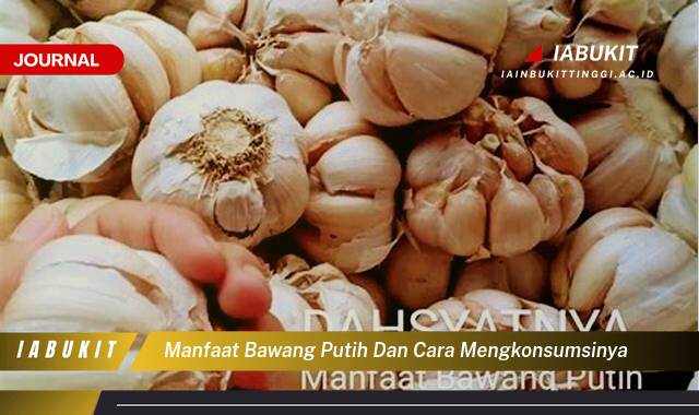 Inilah 9 Manfaat Bawang Putih dan Cara Mengkonsumsinya untuk Kesehatan Optimal