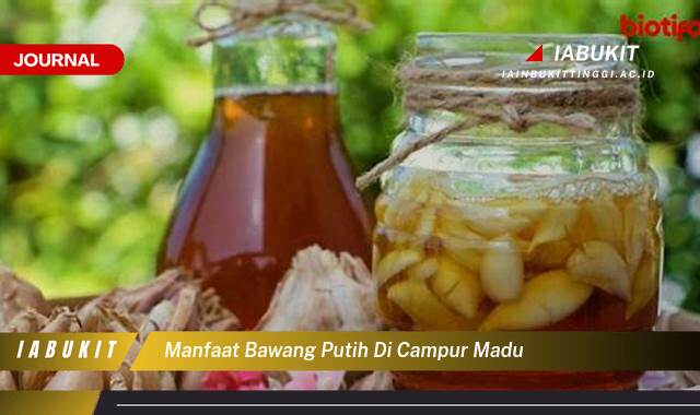 Inilah 9 Manfaat Bawang Putih Dicampur Madu, Resep Alami, Khasiat Lengkap, dan Cara Membuatnya