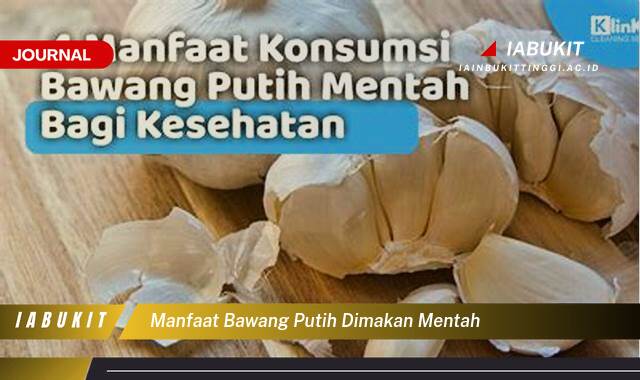 Inilah 8 Manfaat Bawang Putih Dimakan Mentah Untuk Kesehatan Tubuh Anda
