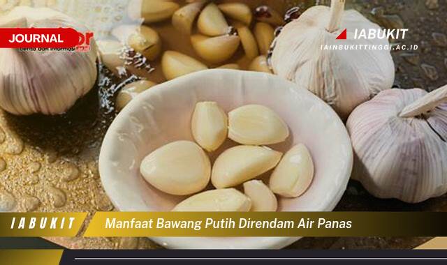 Inilah 8 Manfaat Bawang Putih Direndam Air Panas untuk Kesehatan Anda