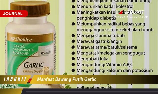 Inilah 9 Manfaat Bawang Putih Garlic untuk Kesehatan Jantung dan Sistem Imun