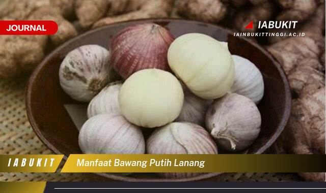 Inilah 8 Manfaat Bawang Putih Lanang untuk Kesehatan Anda Inilah 8 Manfaat Bawang Putih Lanang untuk Kesehatan Anda