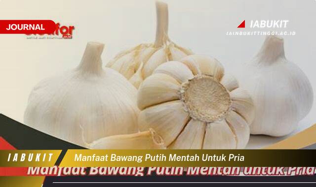 Inilah 10 Manfaat Bawang Putih Mentah untuk Kesehatan Pria yang Perlu Anda Ketahui