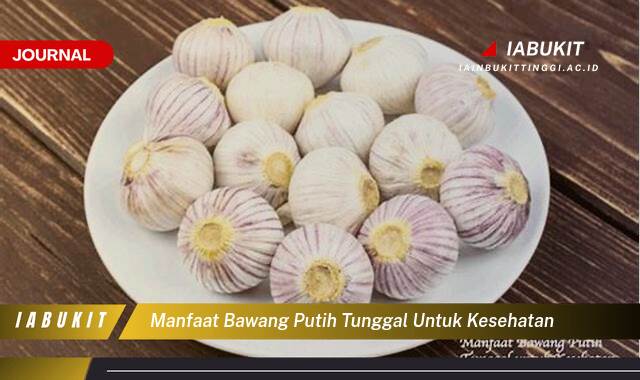 Inilah 9 Manfaat Bawang Putih Tunggal untuk Kesehatan, Khasiat Tersembunyi & Cara Konsumsi
