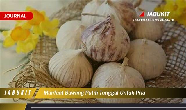 Inilah 10 Manfaat Bawang Putih Tunggal untuk Pria, Meningkatkan Stamina dan Kesehatan Secara Alami Inilah 10 Manfaat Bawang Putih Tunggal untuk Pria, Meningkatkan Stamina dan Kesehatan Secara Alami