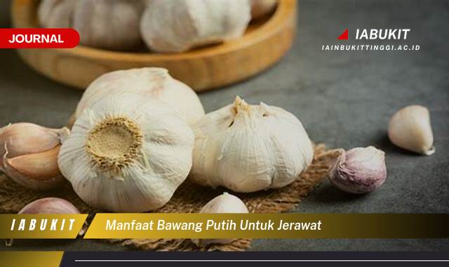 Inilah 8 Manfaat Bawang Putih untuk Jerawat, Hilangkan Jerawat Bandel Secara Alami dan Cepat