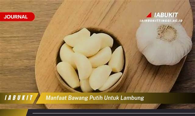 Inilah 9 Manfaat Bawang Putih untuk Lambung, Mitos atau Fakta? Panduan Lengkap