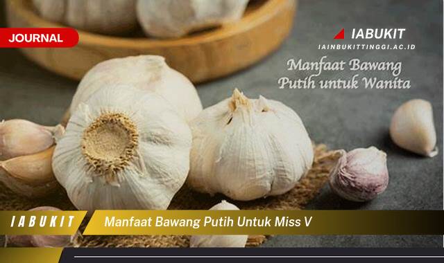 Inilah 10 Manfaat Bawang Putih untuk Miss V, Atasi Infeksi, Gatal, dan Bau Tak Sedap Secara Alami Inilah 10 Manfaat Bawang Putih untuk Miss V, Atasi Infeksi, Gatal, dan Bau Tak Sedap Secara Alami