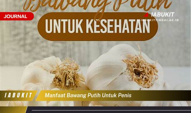 Inilah 8 Manfaat Bawang Putih untuk Mr P, Meningkatkan Vitalitas dan Kesehatan Pria Inilah 8 Manfaat Bawang Putih untuk Mr P, Meningkatkan Vitalitas dan Kesehatan Pria