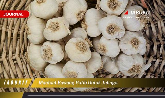 Inilah 8 Manfaat Bawang Putih untuk Telinga, Mengatasi Sakit dan Infeksi Secara Alami