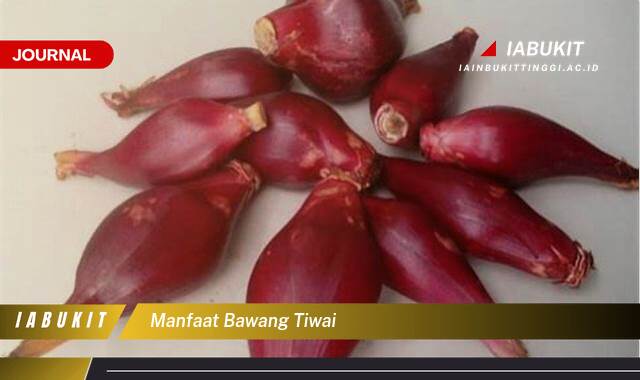 Inilah 8 Manfaat Bawang Tiwai untuk Kesehatan Jantung dan Imunitas Tubuh
