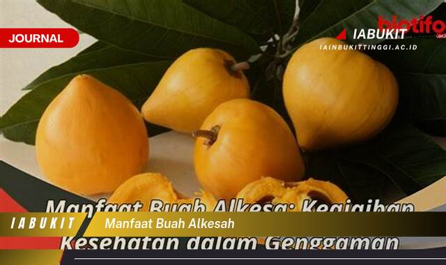 Inilah 9 Manfaat Buah Alkesah untuk Kesehatan Tubuh Anda Inilah 9 Manfaat Buah Alkesah untuk Kesehatan Tubuh Anda