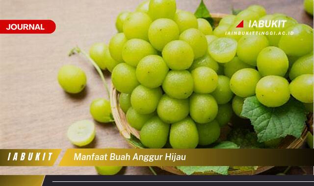 Inilah 10 Manfaat Buah Anggur Hijau untuk Kesehatan Anda yang Luar Biasa Inilah 10 Manfaat Buah Anggur Hijau untuk Kesehatan Anda yang Luar Biasa