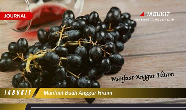 Inilah 9 Manfaat Buah Anggur Hitam untuk Kesehatan Anda yang Menakjubkan Inilah 9 Manfaat Buah Anggur Hitam untuk Kesehatan Anda yang Menakjubkan