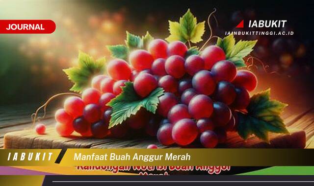 Inilah 10 Manfaat Buah Anggur Merah untuk Kesehatan Anda