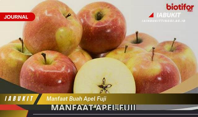 Inilah 9 Manfaat Buah Apel Fuji untuk Kesehatan Anda