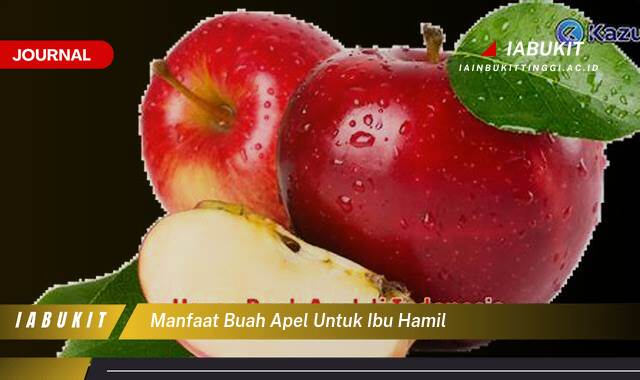 Inilah 10 Manfaat Buah Apel untuk Ibu Hamil, Nutrisi Penting dan Tips Konsumsi Inilah 10 Manfaat Buah Apel untuk Ibu Hamil, Nutrisi Penting dan Tips Konsumsi
