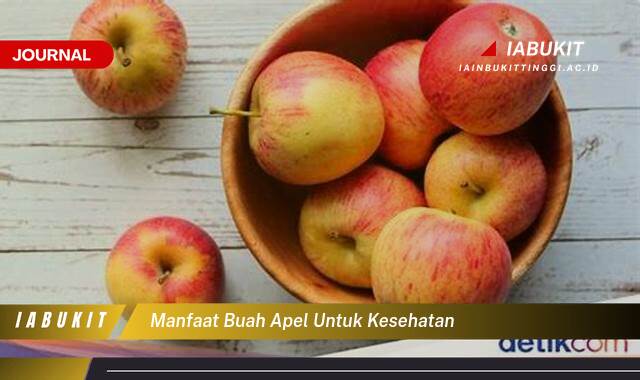 Inilah 10 Manfaat Buah Apel untuk Kesehatan, Dari Meningkatkan Imunitas Hingga Menjaga Berat Badan Ideal Inilah 10 Manfaat Buah Apel untuk Kesehatan, Dari Meningkatkan Imunitas Hingga Menjaga Berat Badan Ideal