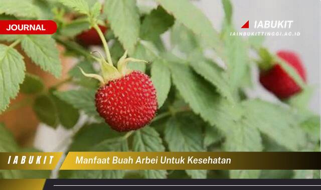 Inilah 9 Manfaat Buah Arbei untuk Kesehatan, Rahasia Kecil untuk Hidup Lebih Sehat