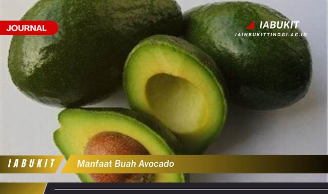 Inilah 10 Manfaat Buah Alpukat untuk Kesehatan Jantung dan Kulitmu