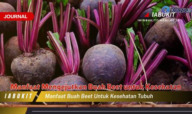 Inilah 10 Manfaat Buah Beet untuk Kesehatan Tubuh, Dari Meningkatkan Stamina Hingga Menjaga Tekanan Darah