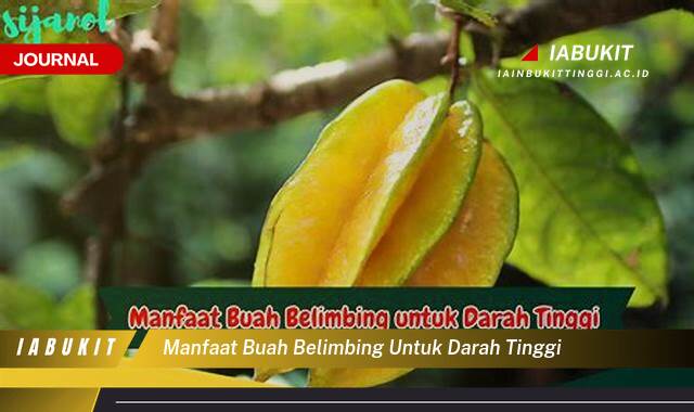 Inilah 8 Manfaat Buah Belimbing untuk Darah Tinggi Rahasia Tekanan Darah Stabil!