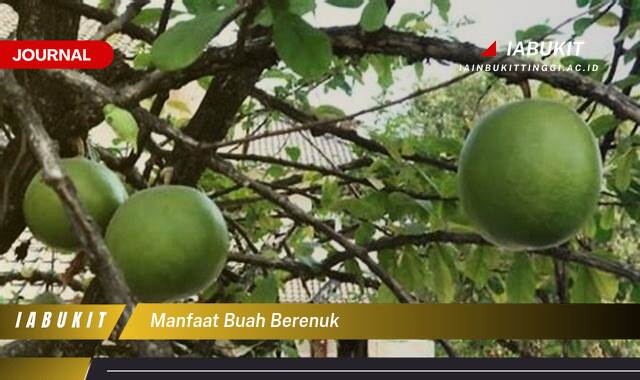 Inilah 9 Manfaat Buah Berenuk untuk Kesehatan Tubuh Anda Inilah 9 Manfaat Buah Berenuk untuk Kesehatan Tubuh Anda