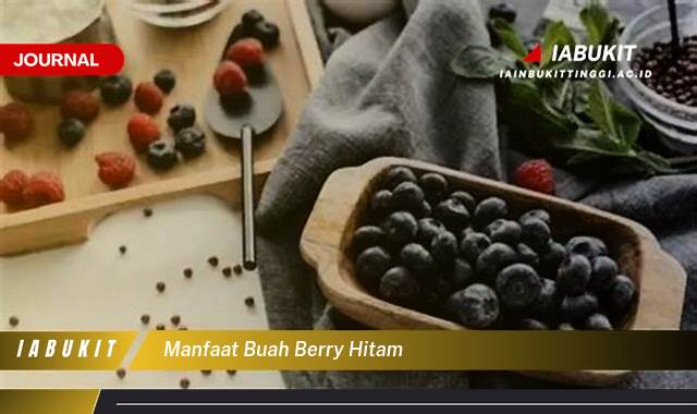 Inilah 9 Manfaat Buah Berry Hitam, Kandungan Nutrisi dan Khasiat Kesehatan yang Luar Biasa