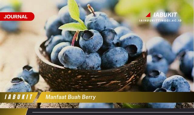Inilah 8 Manfaat Buah Berry, Blueberry, Raspberry, Strawberry, dan Lainnya untuk Kesehatan Inilah 8 Manfaat Buah Berry, Blueberry, Raspberry, Strawberry, dan Lainnya untuk Kesehatan
