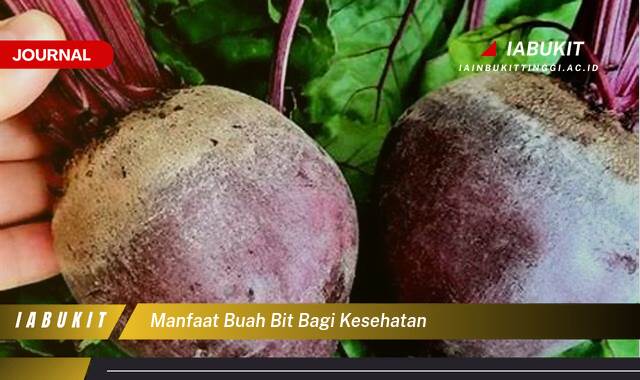 Inilah 10 Manfaat Buah Bit Bagi Kesehatan, Dari Meningkatkan Stamina Hingga Menjaga Kesehatan Jantung