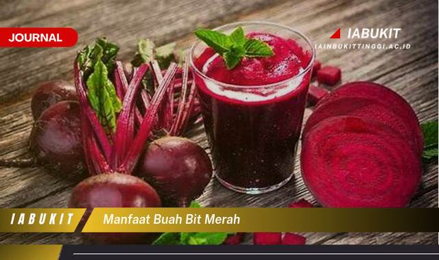 Inilah 9 Manfaat Buah Bit Merah untuk Kesehatan Tubuh Anda Secara Keseluruhan Inilah 9 Manfaat Buah Bit Merah untuk Kesehatan Tubuh Anda Secara Keseluruhan