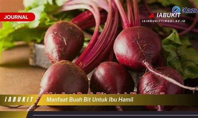 Inilah 8 Manfaat Buah Bit untuk Ibu Hamil, Dari Kesehatan Janin Hingga Mencegah Anemia Inilah 8 Manfaat Buah Bit untuk Ibu Hamil, Dari Kesehatan Janin Hingga Mencegah Anemia