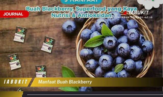 Inilah 10 Manfaat Buah Blackberry untuk Kesehatan, Kecantikan, dan Resep Lezat