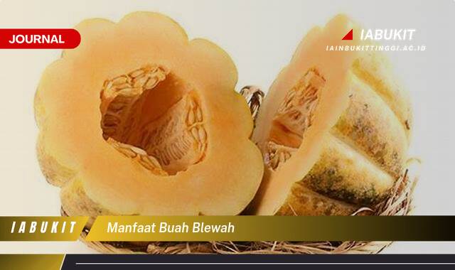 Inilah 9 Manfaat Buah Blewah untuk Kesehatan, Kecantikan, dan Ibu Hamil Inilah 9 Manfaat Buah Blewah untuk Kesehatan, Kecantikan, dan Ibu Hamil