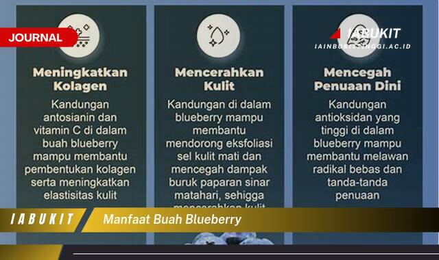 Inilah 8 Manfaat Buah Blueberry untuk Kesehatan Tubuh Anda Inilah 8 Manfaat Buah Blueberry untuk Kesehatan Tubuh Anda