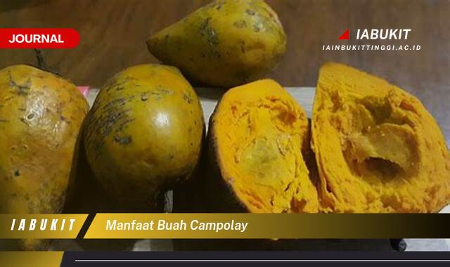 Inilah 9 Manfaat Buah Campolay untuk Kesehatan Tubuh Anda