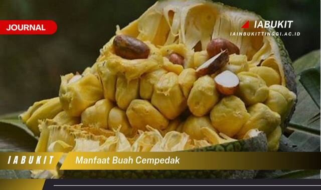 Inilah 8 Manfaat Buah Cempedak untuk Kesehatan Tubuh Anda