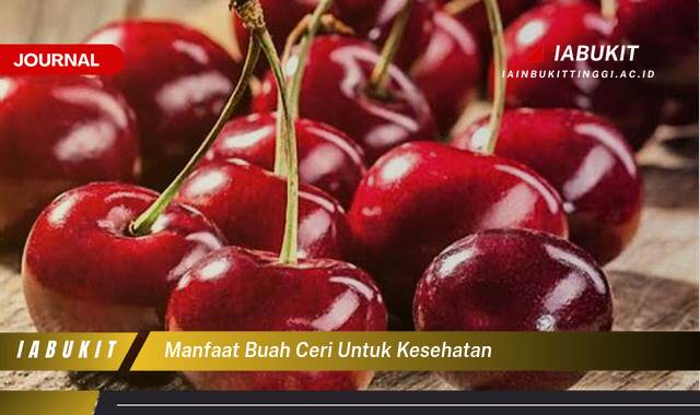 Inilah 10 Manfaat Buah Ceri untuk Kesehatan, Kandungan Gizi Lengkap dan Khasiatnya