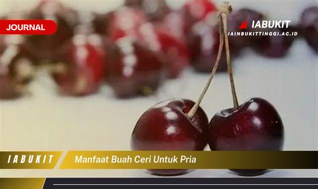Inilah 8 Manfaat Buah Ceri untuk Pria, Tingkatkan Testosteron dan Vitalitas!
