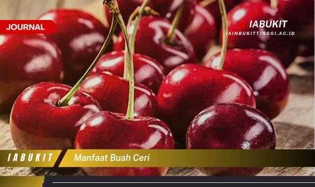 Inilah 9 Manfaat Buah Ceri untuk Kesehatan Tubuh Anda Inilah 9 Manfaat Buah Ceri untuk Kesehatan Tubuh Anda
