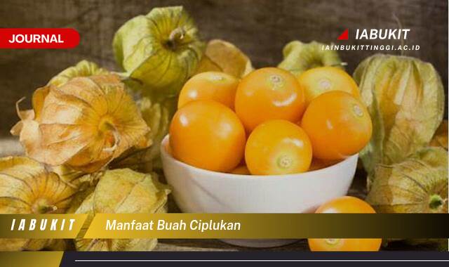 Inilah 8 Manfaat Buah Ciplukan untuk Kesehatan Tubuh Anda